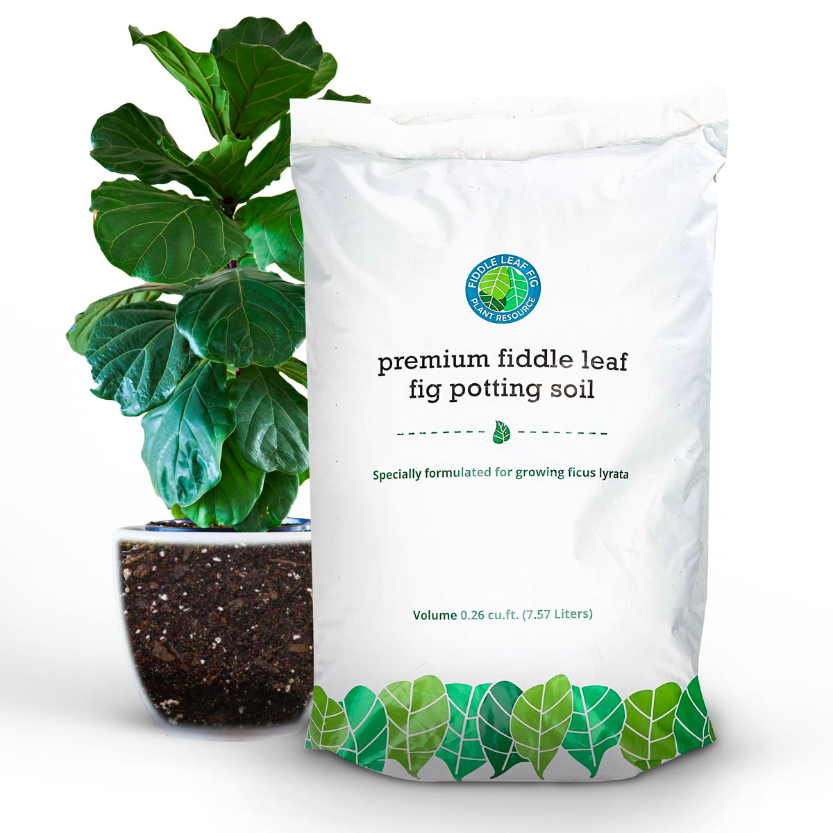 Fiddle Leaf Fig Potting Soil Mix  by Fiddle Leaf Fig Plant Resource | Premium Organic Soil with Enhanced Drainage for Fast Growth and Healthy Roots (Large Bag) by Houseplant Resource Center