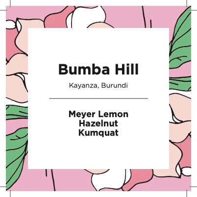 Bumba Hill | Burundi | Washed