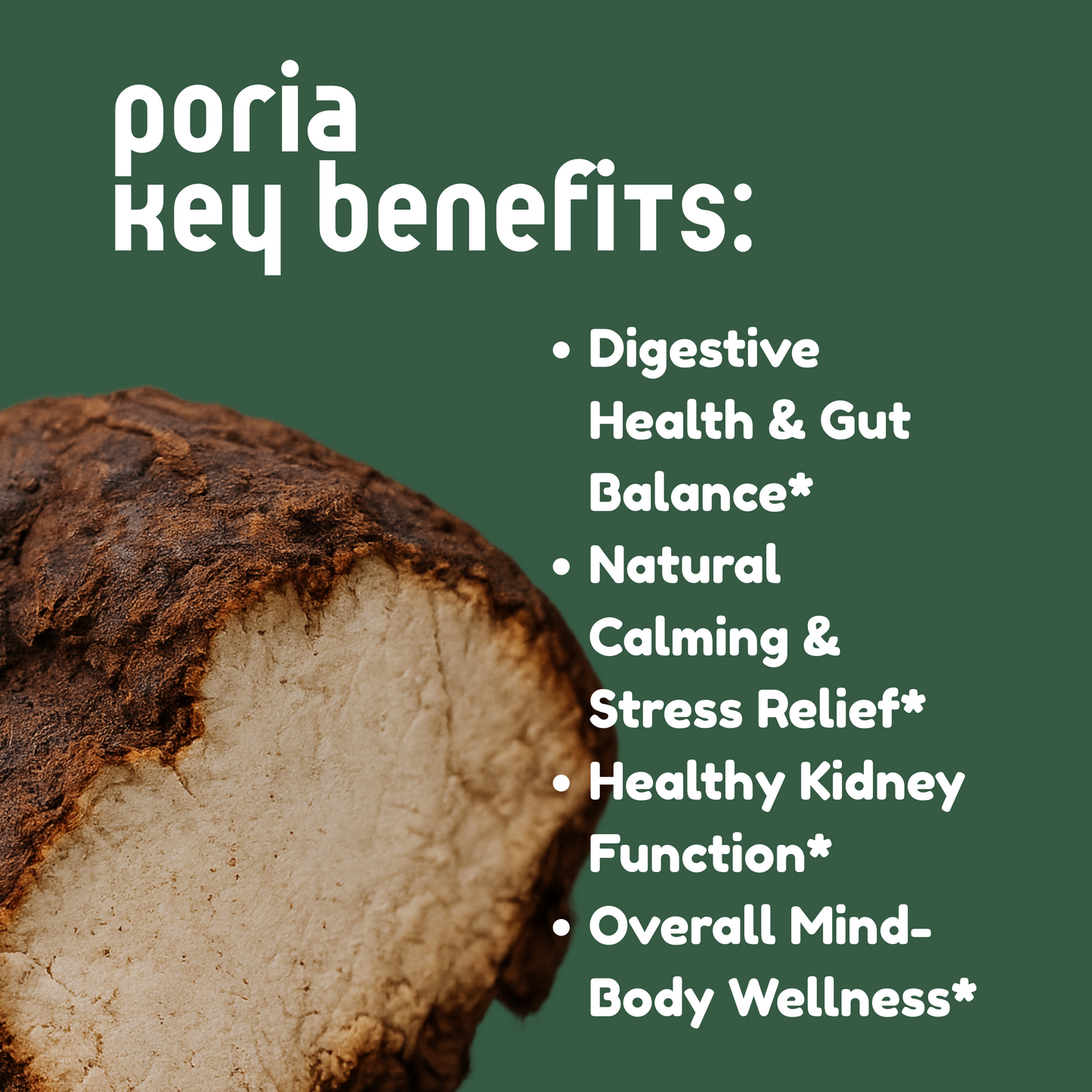 Poria Mushroom Tincture