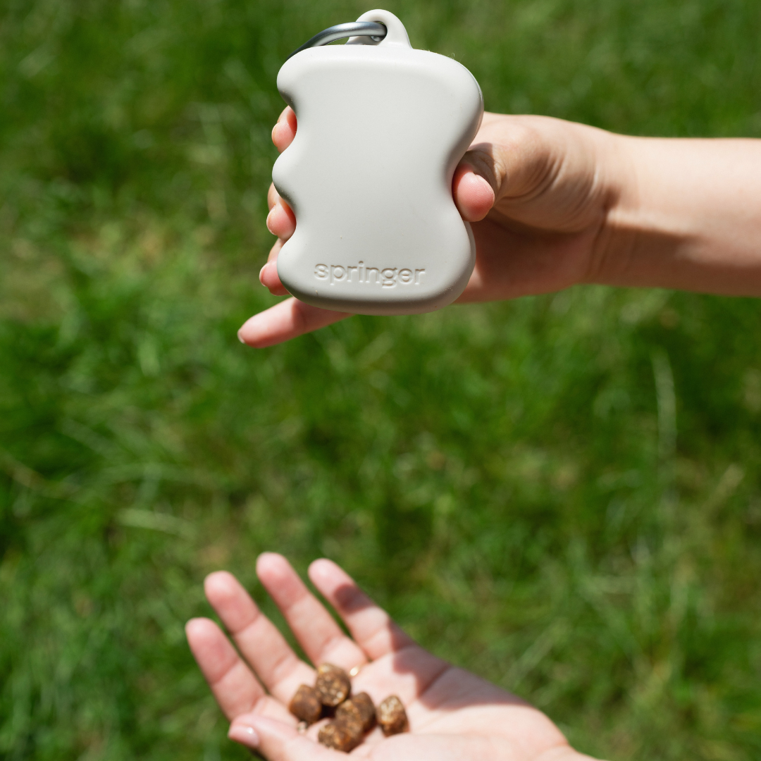 Silicone Dog Treat Dispenser