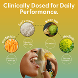 Daily Energy Mouth Spray