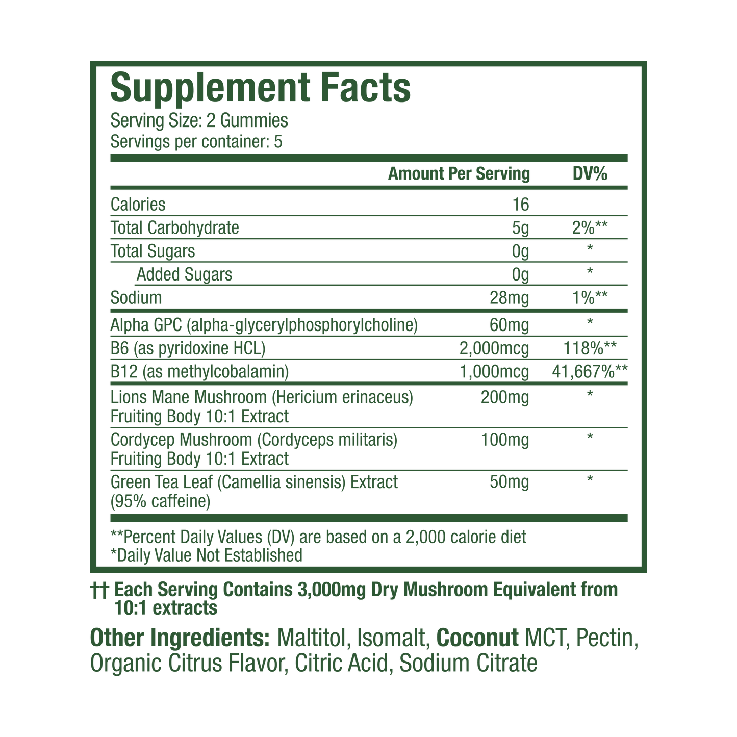 WonderFocus Mushroom Gummies: 5-Day Trial