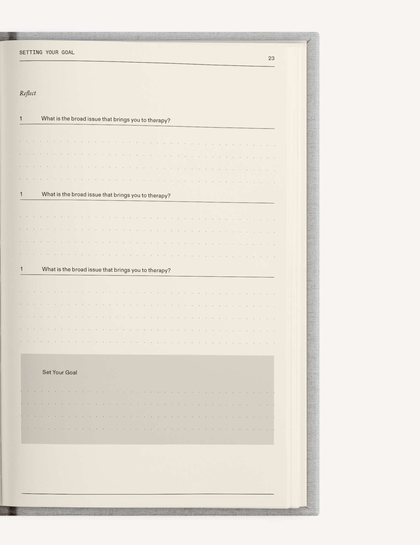 The Therapy Companion Set