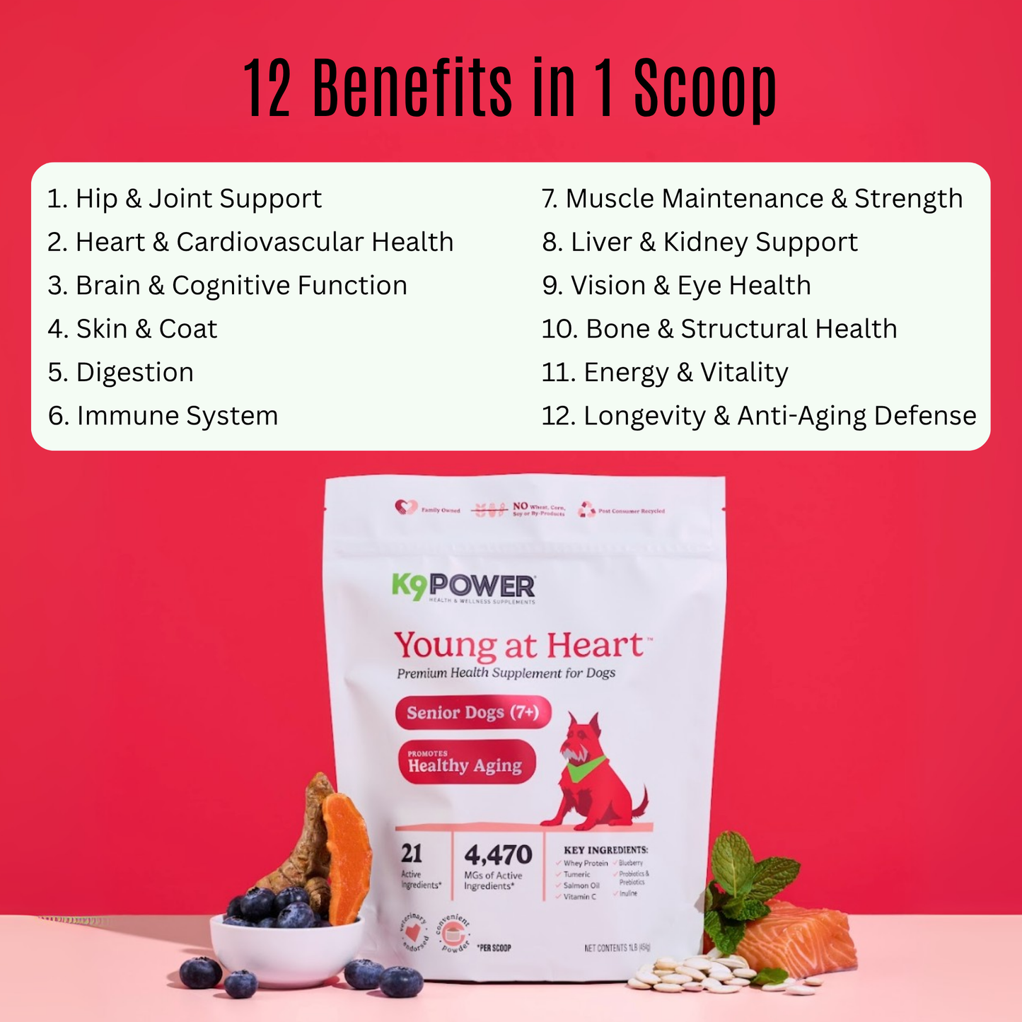 K9 Power - Young At Heart™