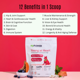 K9 Power - Young At Heart™