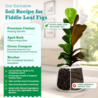 Fiddle Leaf Fig Potting Soil Mix  by Fiddle Leaf Fig Plant Resource | Premium Organic Soil with Enhanced Drainage for Fast Growth and Healthy Roots (Large Bag) by Houseplant Resource Center