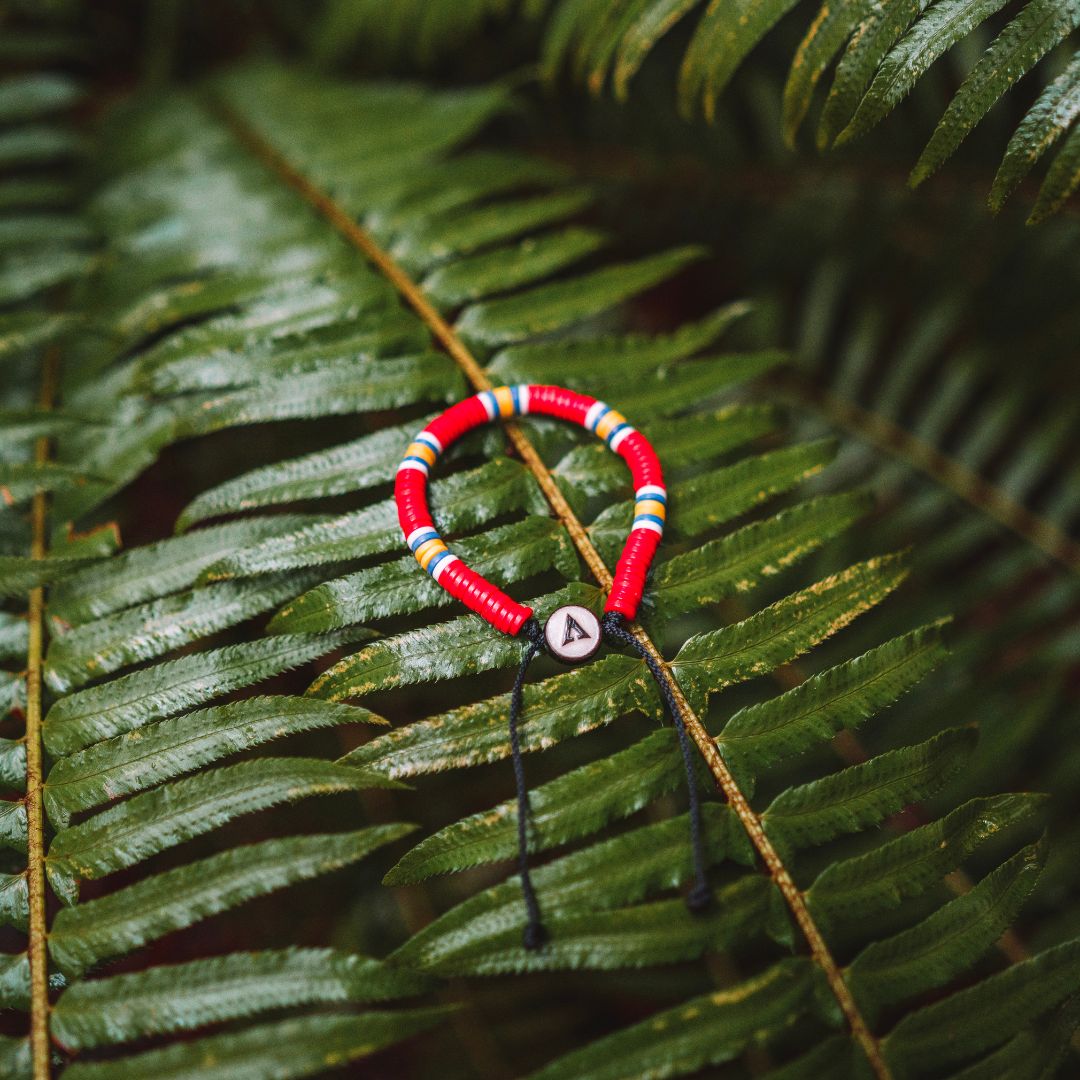 Endangered Macaw OMA Bracelet by One Million Acres