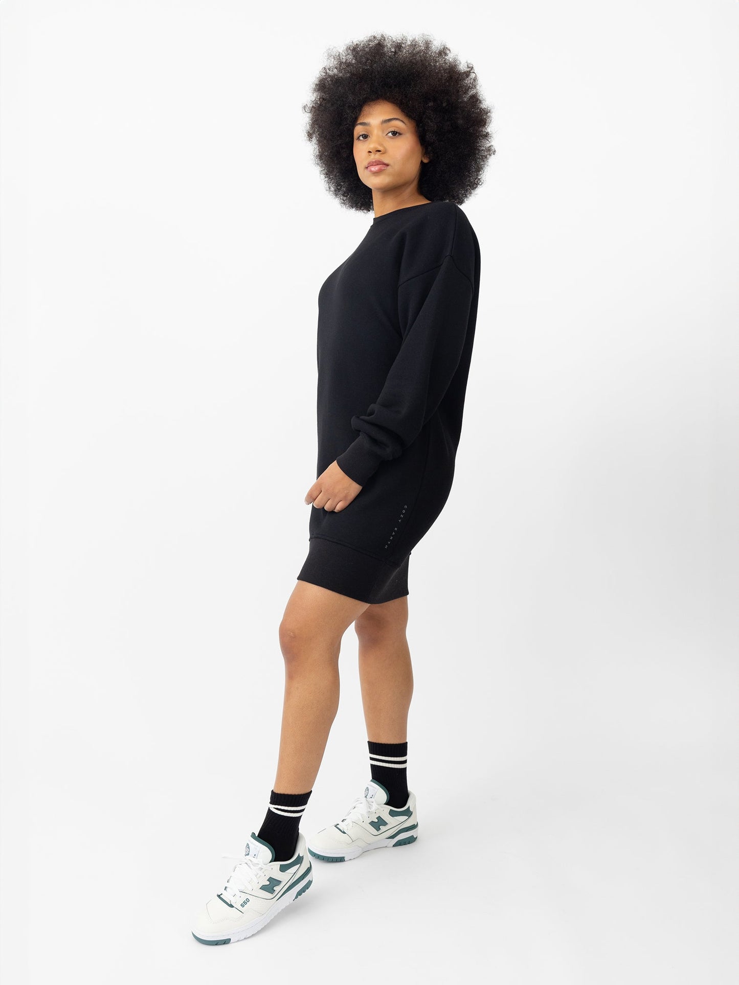 Women's CityScape Crewneck Dress