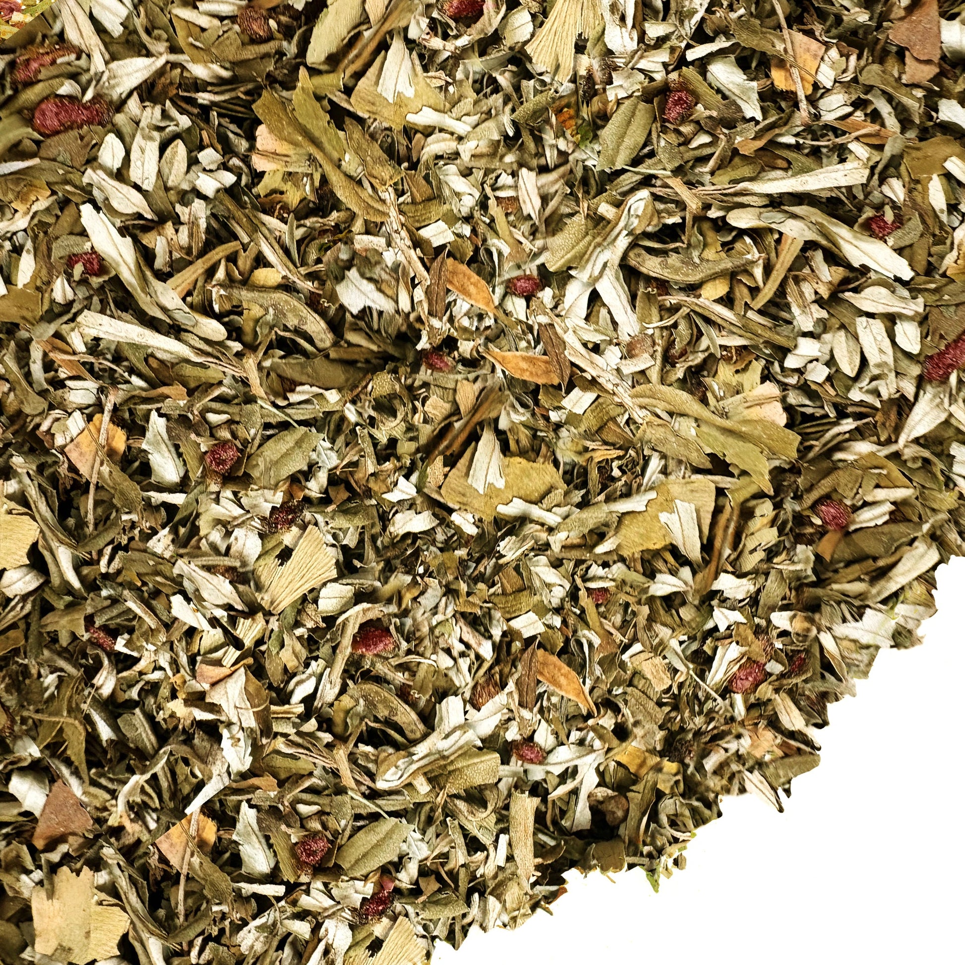 Siberian Green Sea Buckthorn Tea with Black Currant Leaves – Wild-Harvested & Caffeine-Free