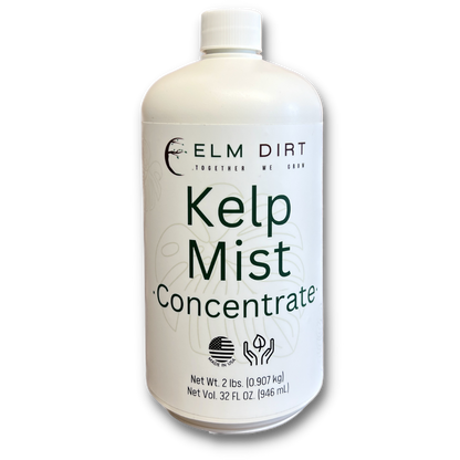 Kelp Mist by Elm Dirt