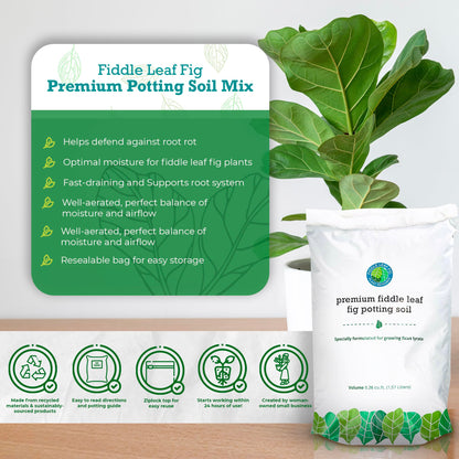 Fiddle Leaf Fig Potting Soil Mix  by Fiddle Leaf Fig Plant Resource | Premium Organic Soil with Enhanced Drainage for Fast Growth and Healthy Roots (Large Bag) by Houseplant Resource Center