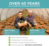 5 Defenders Organic Mushroom Complex – Bulk Powder by Real Mushrooms