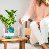 (2) Instant Plant Support 4-Tablet Pouch Bundle by Instant Plant Food