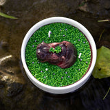 Hippo Aromatherapy Scented Candle  Bowl