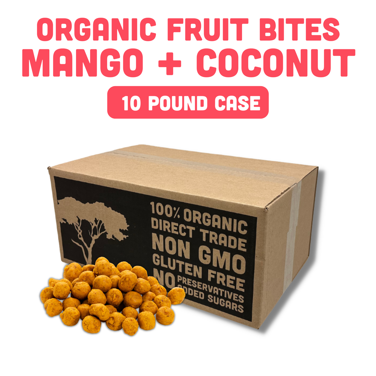 Organic Fruit Bites: Mango & Coconut