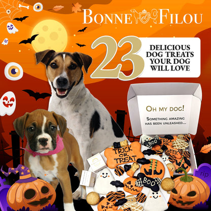 Halloween Themed Dog Treats Gift Box