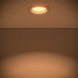 5/6" Retrofit Recessed Circadian Light