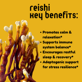 Reishi Mushroom Tincture