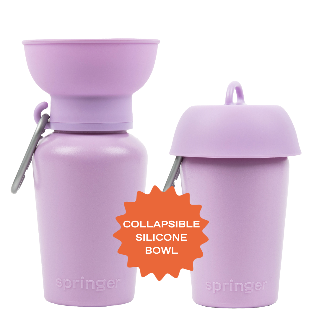 Flip Dog Travel Bottle