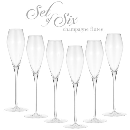 Berkware Curved Champagne Glass, Set of 6