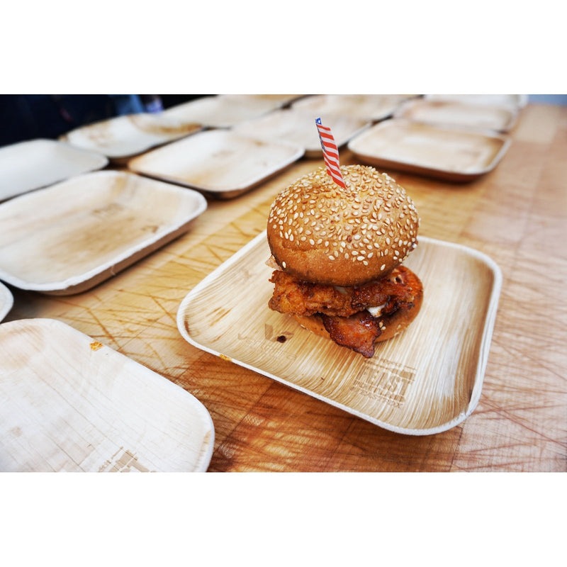 6x6 VerTerra Square Plates - 300 pcs