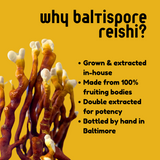 Reishi Mushroom Tincture