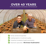 Mushroom D2Z by Real Mushrooms