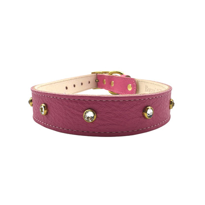 Plain Leather Dog Collar