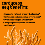 Cordyceps Mushroom Tincture