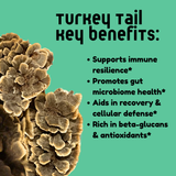 Turkey Tail Mushroom Tincture