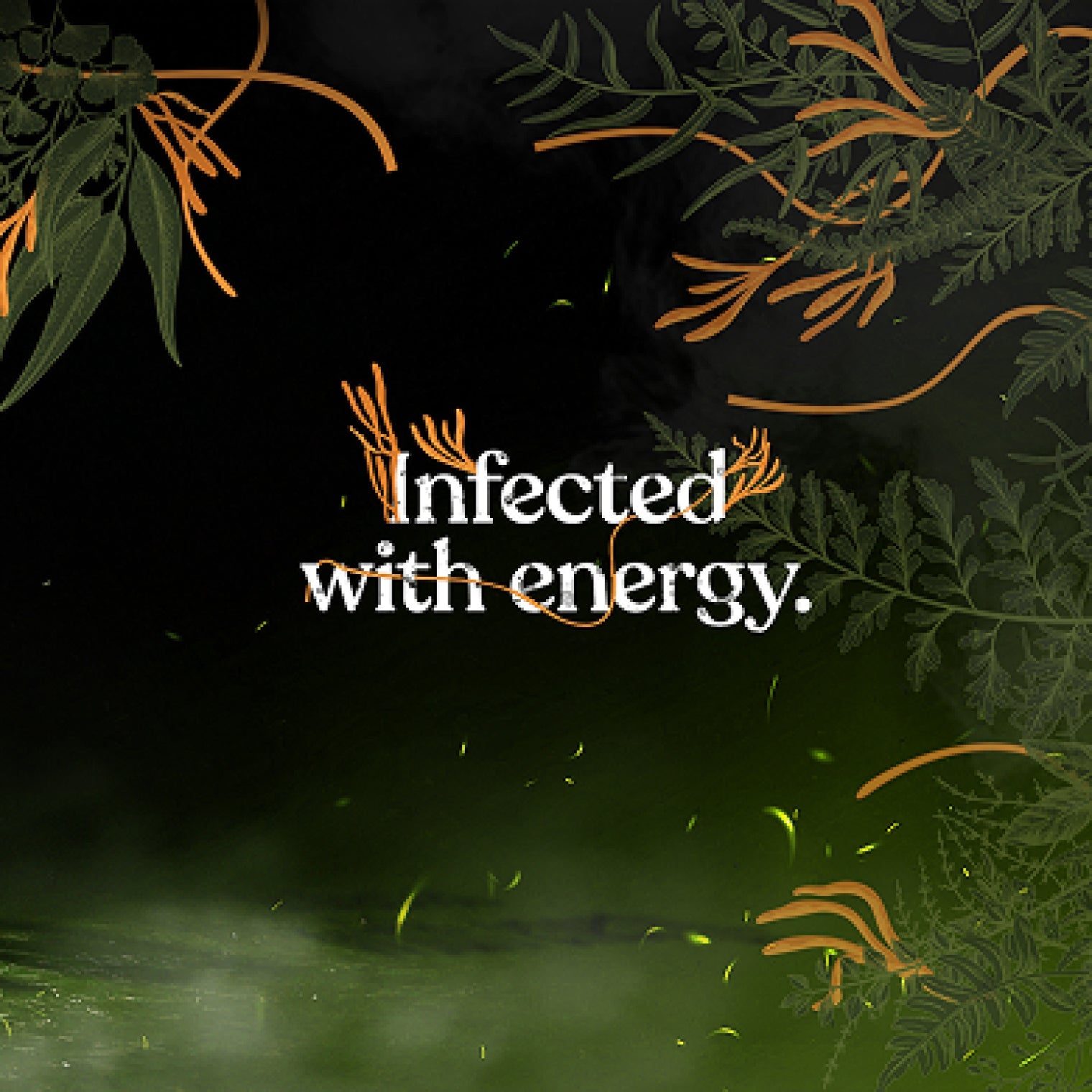 HBO Original The Last Of Us - Organic High Caf Ground Coffee