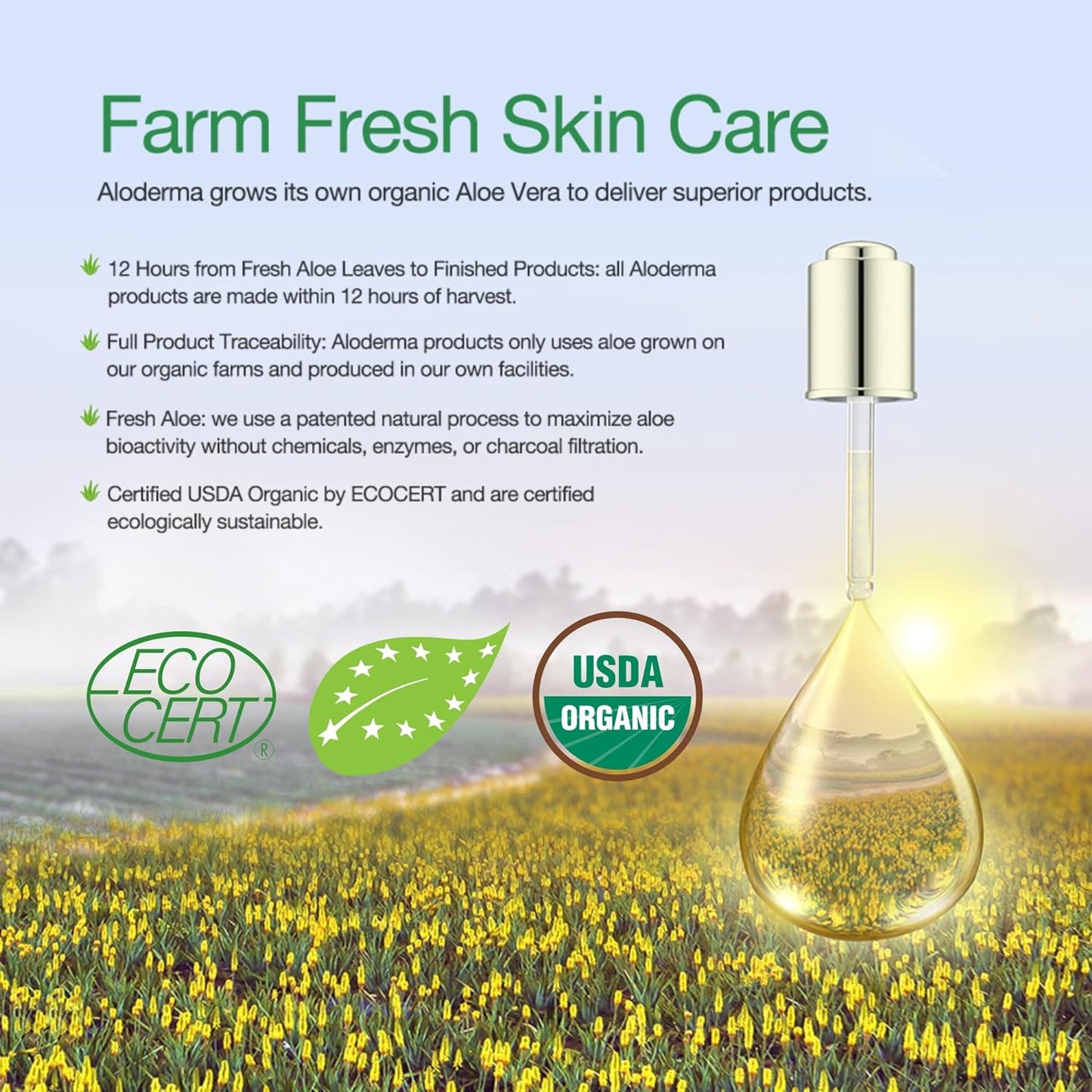 Aloe Firming Serum