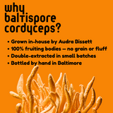 Cordyceps Mushroom Tincture