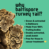 Turkey Tail Mushroom Tincture