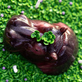 Hippo Aromatherapy Scented Candle  Bowl