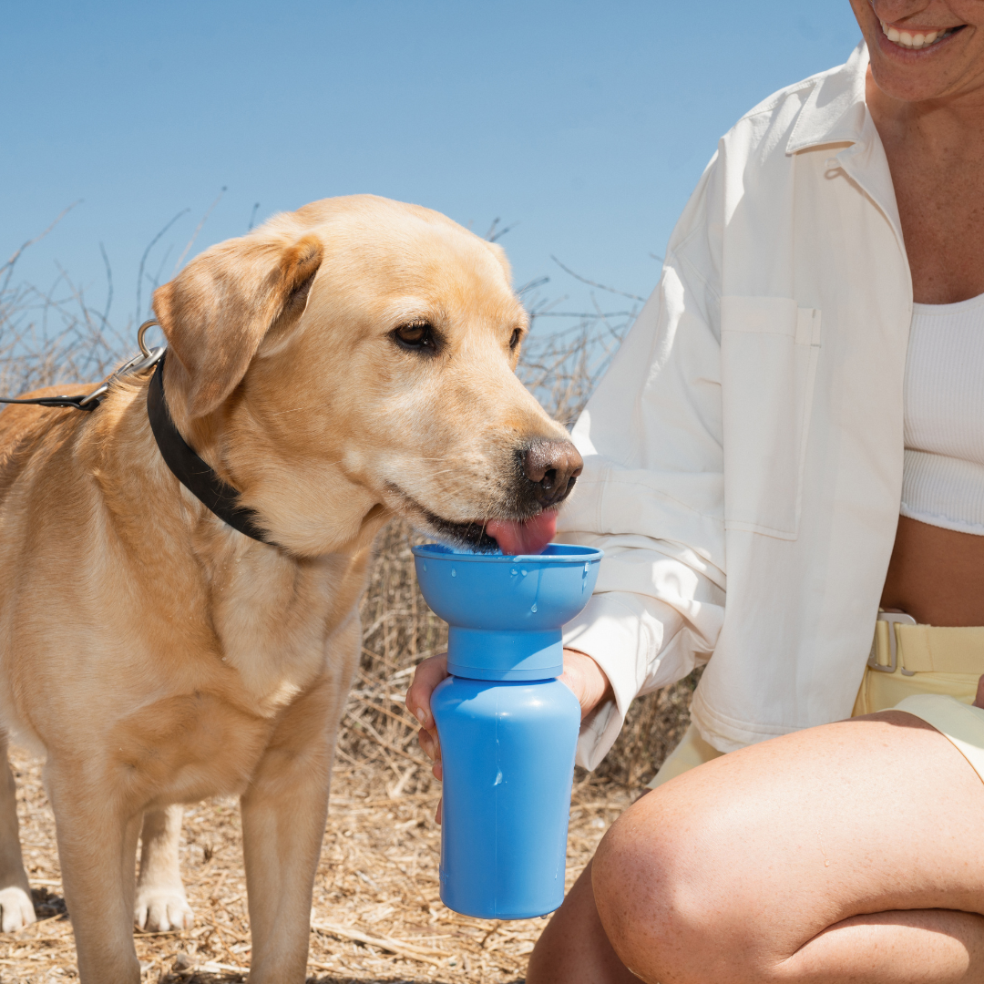 Flip Dog Travel Bottle