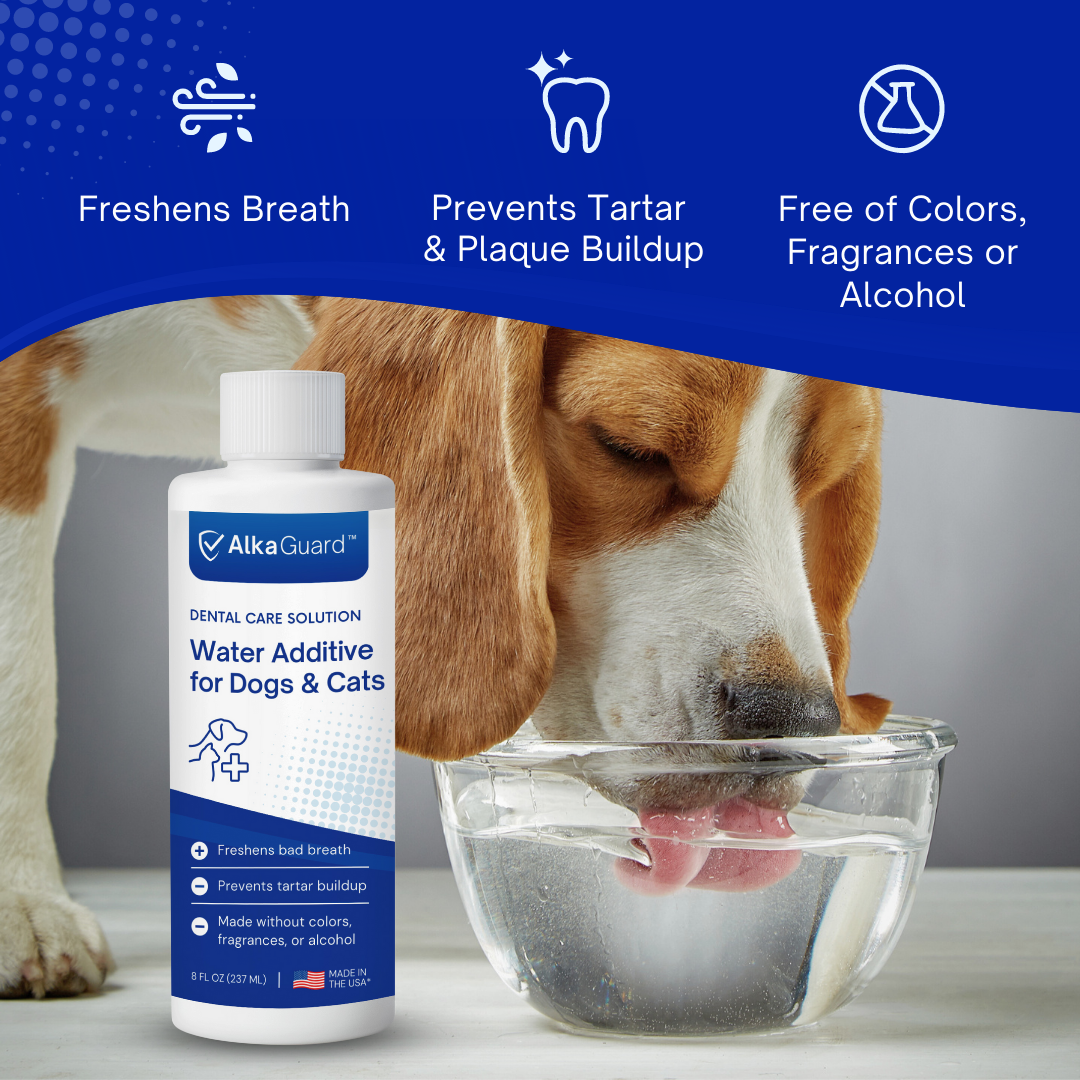 Dental Water Additive for Dogs & Cats