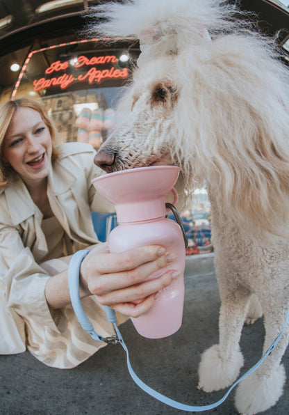 Classic Dog Travel Bottle