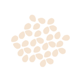 Artisanal Tahini by eatsoco