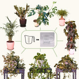 Watering Day™ System Starter Kit - Bamboo Fiber