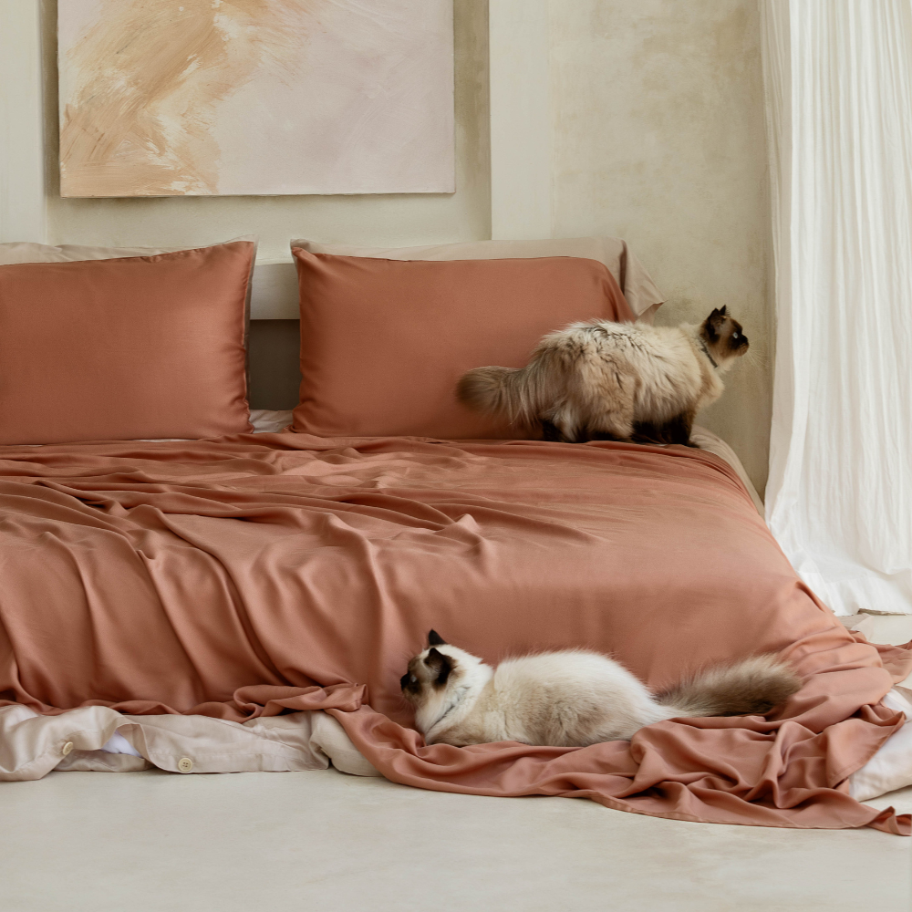 Signature Sateen Sheet Set