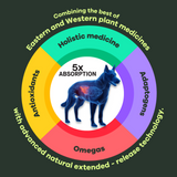 Mobilize by alchemypet