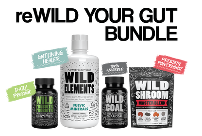 reWILD Your Gut Bundle by Wild Foods