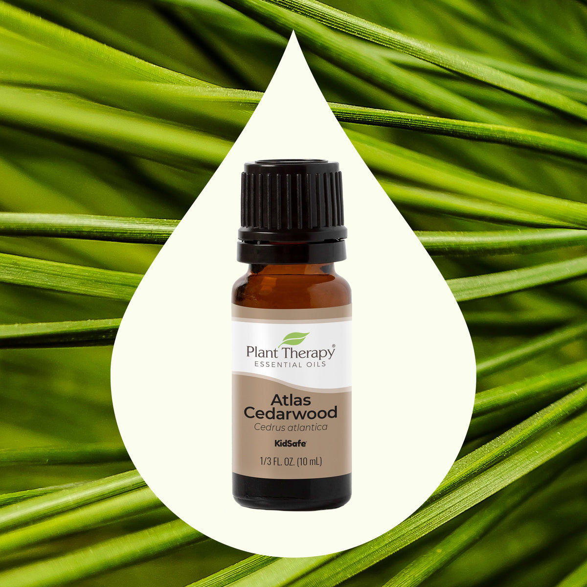 Organic Atlas Cedarwood Essential Oil