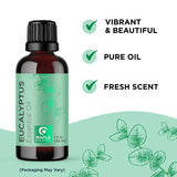 Eucalyptus Essential Oil