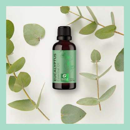 Eucalyptus Essential Oil