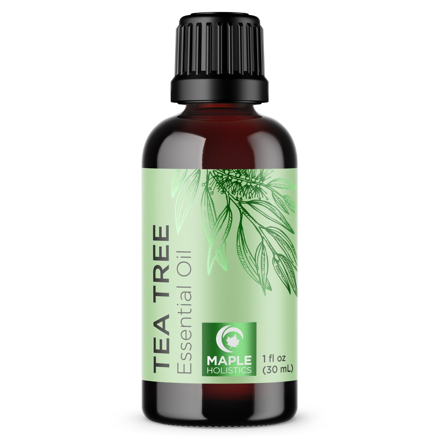 Maple Holistics Pure Tea Tree Essential Oil Pure Tea Tree Oil for Hair Skin and