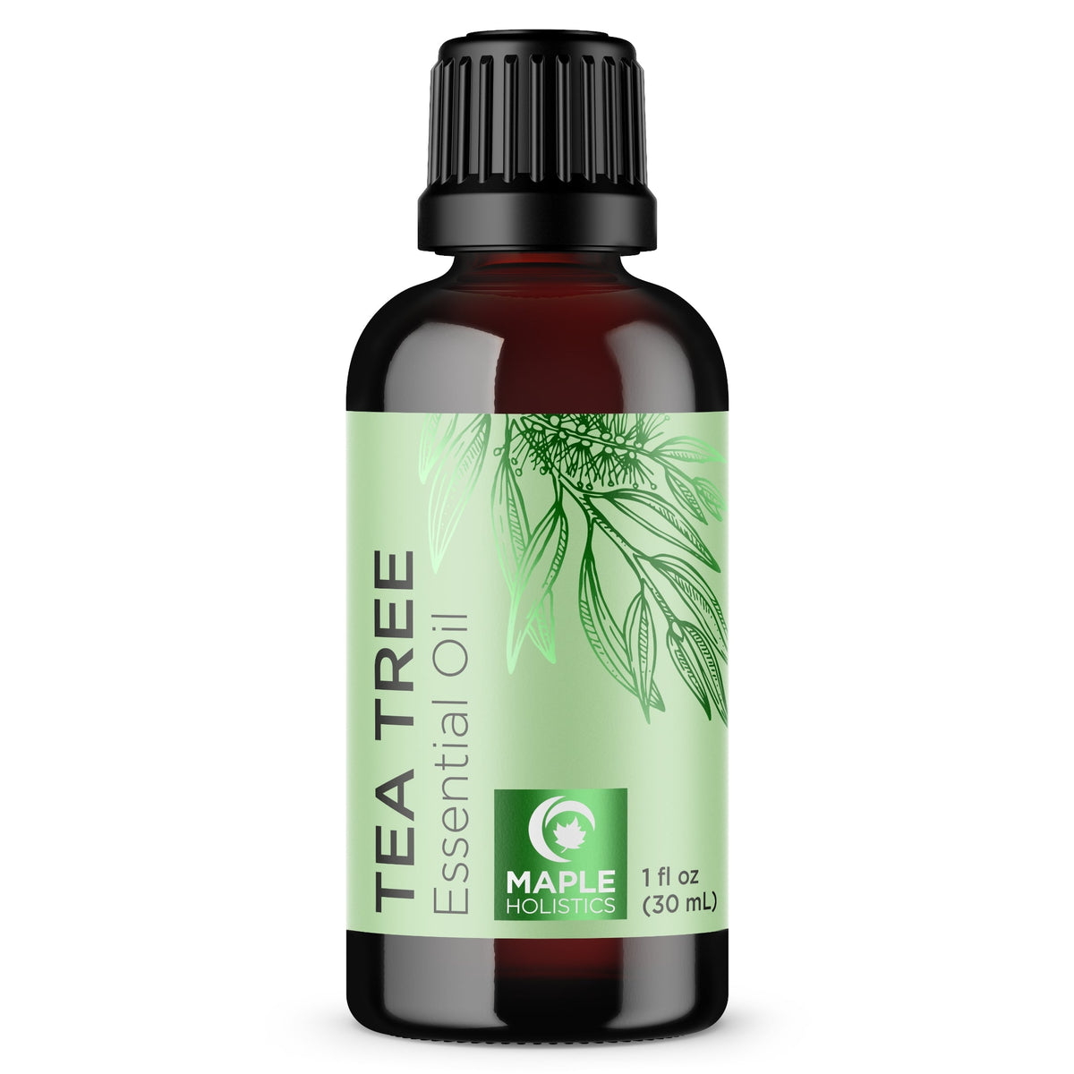 Maple Holistics Pure Tea Tree Essential Oil Pure Tea Tree Oil for Hair Skin and