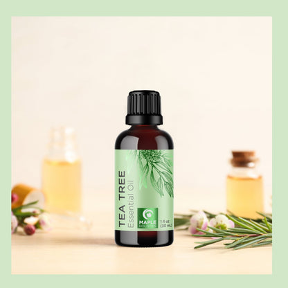 Maple Holistics Pure Tea Tree Essential Oil Pure Tea Tree Oil for Hair Skin and