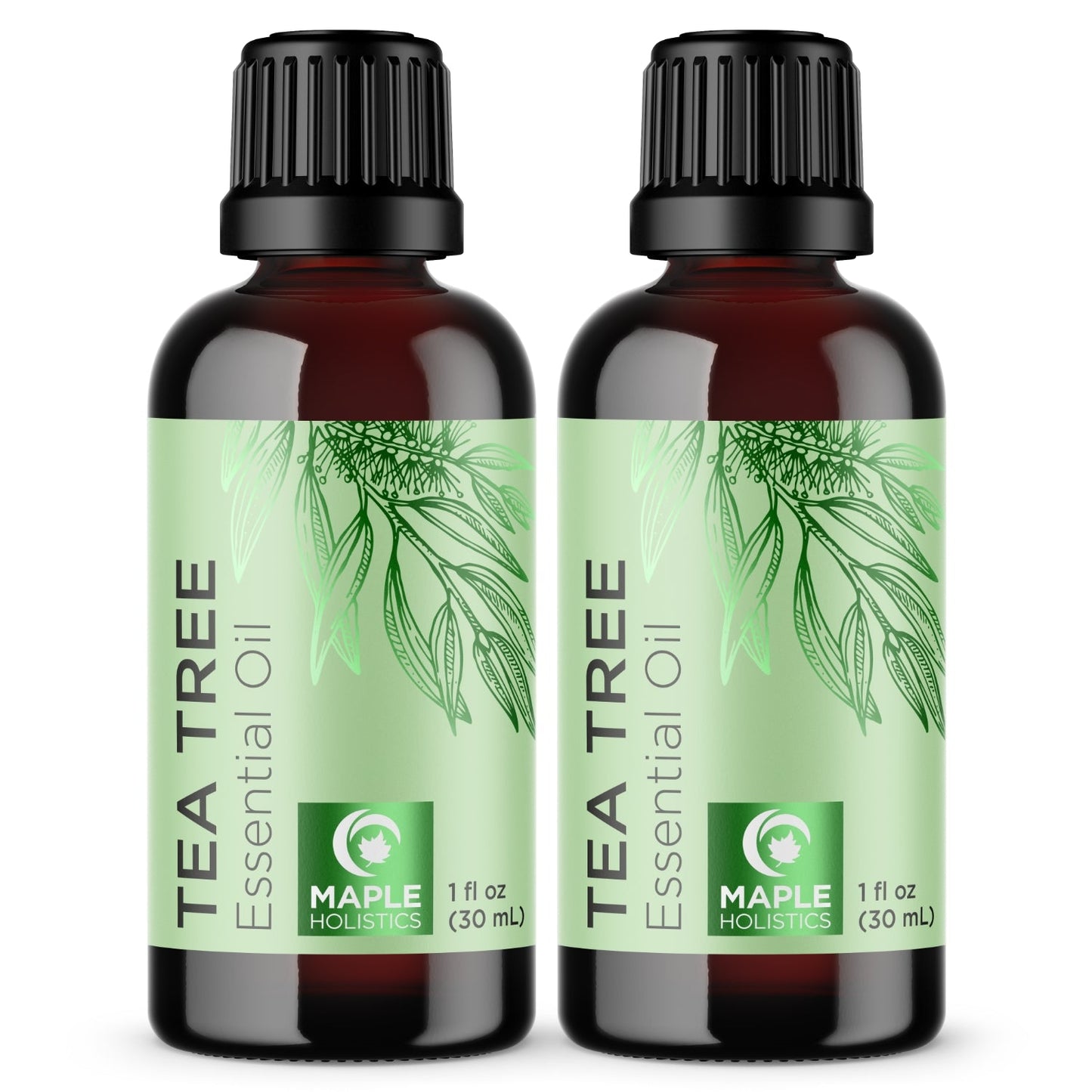 Maple Holistics Pure Tea Tree Essential Oil Pure Tea Tree Oil for Hair Skin and